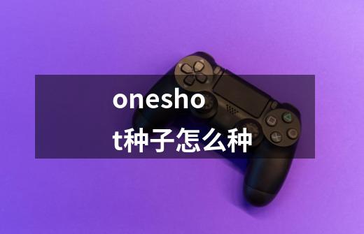 oneshot种子怎么种-第1张-游戏信息-龙启网