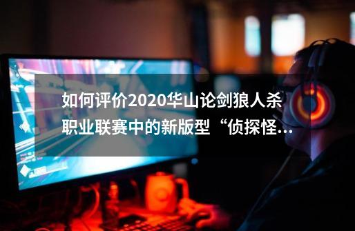 如何评价2020华山论剑狼人杀职业联赛中的新版型“侦探怪盗”-第1张-游戏信息-龙启网