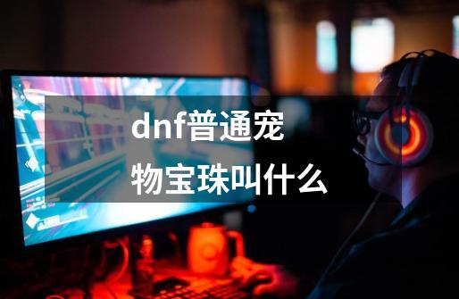 dnf普通宠物宝珠叫什么-第1张-游戏信息-龙启网