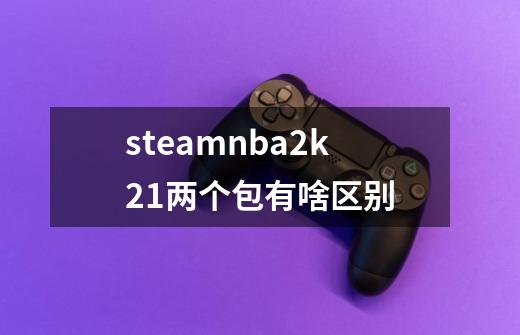 steamnba2k21两个包有啥区别-第1张-游戏信息-龙启网