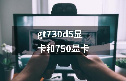 gt730d5显卡和750显卡-第1张-游戏信息-龙启网