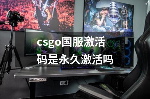 csgo国服激活码是永久激活吗-第1张-游戏信息-龙启网