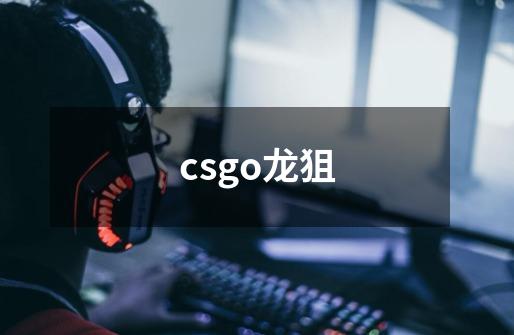 csgo龙狙-第1张-游戏信息-龙启网