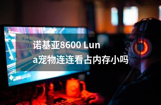 诺基亚8600 Luna宠物连连看占内存小吗-第1张-游戏信息-龙启网