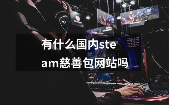 有什么国内steam慈善包网站吗-第1张-游戏信息-龙启网