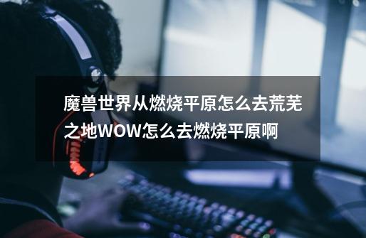 魔兽世界从燃烧平原怎么去荒芜之地WOW怎么去燃烧平原啊-第1张-游戏信息-龙启网