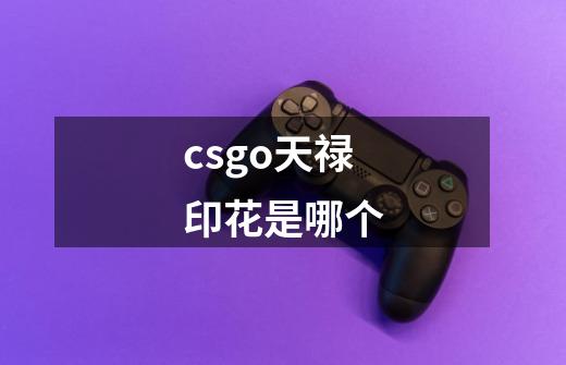 csgo天禄印花是哪个-第1张-游戏信息-龙启网