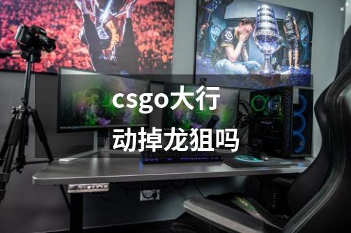 csgo大行动掉龙狙吗-第1张-游戏信息-龙启网