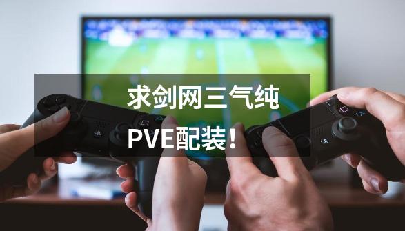 求剑网三气纯PVE配装！-第1张-游戏信息-龙启网