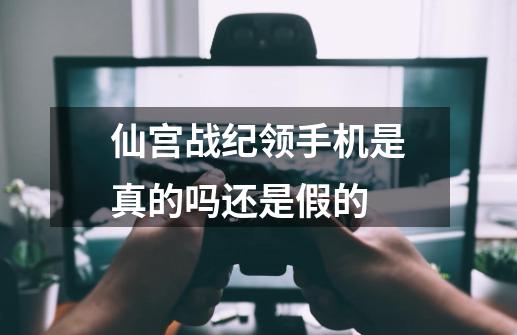 仙宫战纪领手机是真的吗还是假的-第1张-游戏信息-龙启网