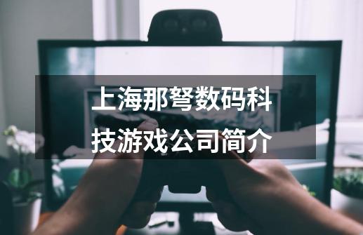 上海那弩数码科技游戏公司简介-第1张-游戏信息-龙启网