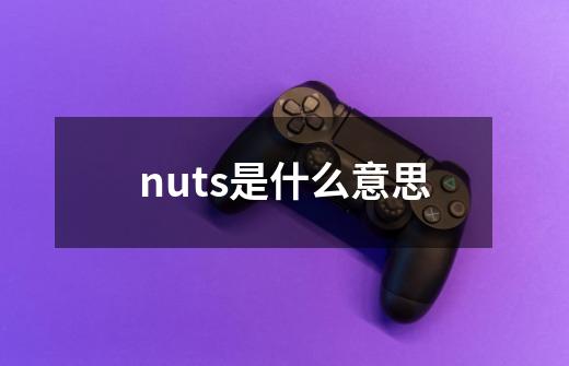 nuts是什么意思-第1张-游戏信息-龙启网