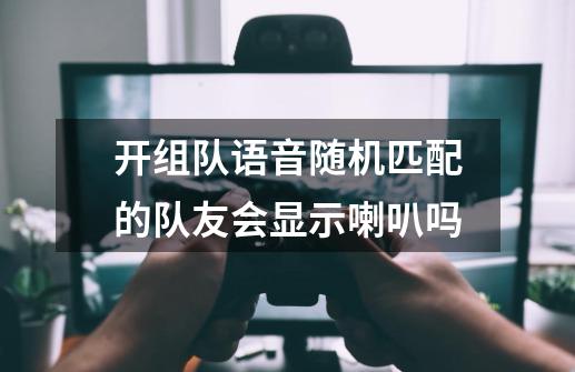 开组队语音随机匹配的队友会显示喇叭吗-第1张-游戏信息-龙启网