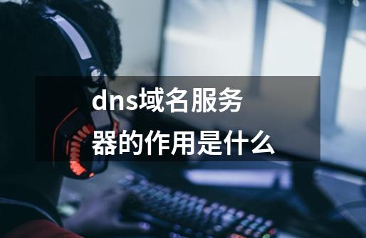 dns域名服务器的作用是什么-第1张-游戏信息-龙启网