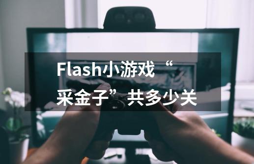 Flash小游戏“采金子”共多少关-第1张-游戏信息-龙启网