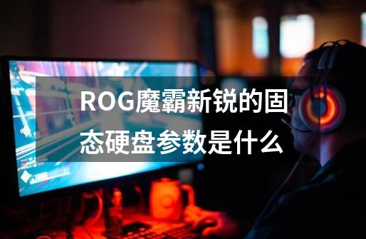 ROG魔霸新锐的固态硬盘参数是什么-第1张-游戏信息-龙启网