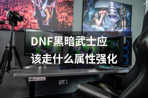 DNF黑暗武士应该走什么属性强化-第1张-游戏信息-龙启网