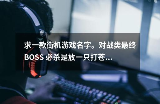 求一款街机游戏名字。对战类最终BOSS 必杀是放一只打苍蝇-第1张-游戏信息-龙启网