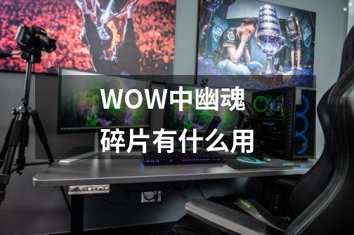 WOW中幽魂碎片有什么用-第1张-游戏信息-龙启网