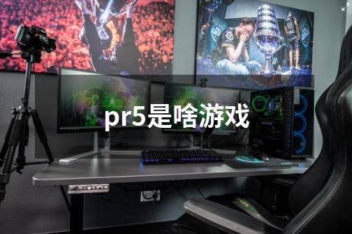 pr5是啥游戏-第1张-游戏信息-龙启网