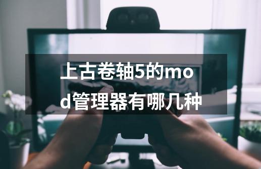 上古卷轴5的mod管理器有哪几种-第1张-游戏信息-龙启网