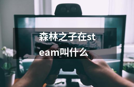 森林之子在steam叫什么-第1张-游戏信息-龙启网