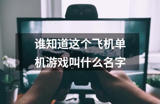 谁知道这个飞机单机游戏叫什么名字-第1张-游戏信息-龙启网