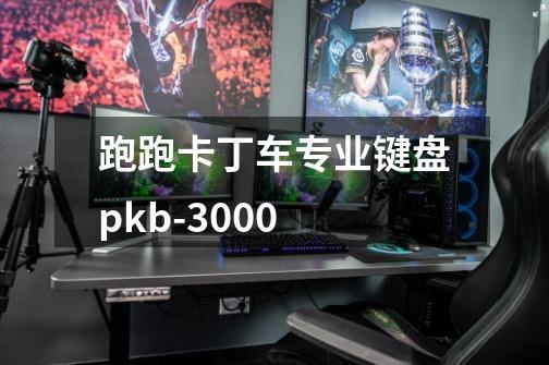 跑跑卡丁车专业键盘pkb-3000-第1张-游戏信息-龙启网