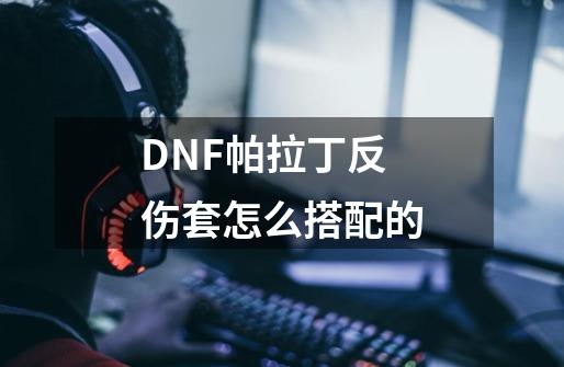 DNF帕拉丁反伤套怎么搭配的-第1张-游戏信息-龙启网