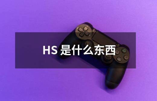 HS 是什么东西-第1张-游戏信息-龙启网