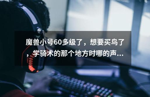 魔兽小号60多级了，想要买鸟了，学骑术的那个地方时哪的声望，我是部落的-第1张-游戏信息-龙启网