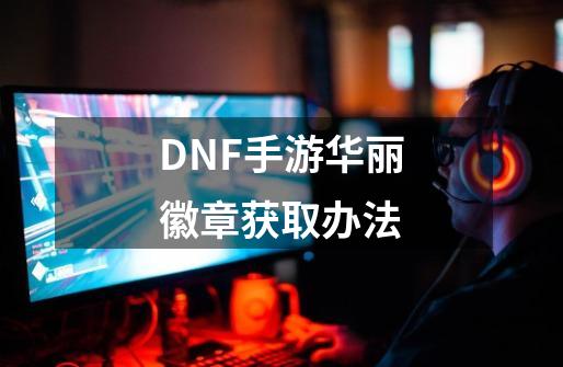 DNF手游华丽徽章获取办法-第1张-游戏信息-龙启网