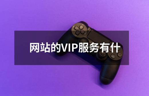 网站的VIP服务有什-第1张-游戏信息-龙启网