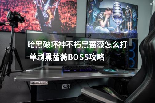 暗黑破坏神不朽黑蔷薇怎么打 单刷黑蔷薇BOSS攻略-第1张-游戏信息-龙启网