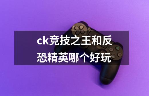 ck竞技之王和反恐精英哪个好玩-第1张-游戏信息-龙启网