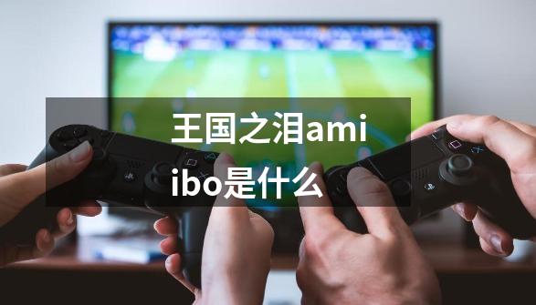 王国之泪amiibo是什么-第1张-游戏信息-龙启网