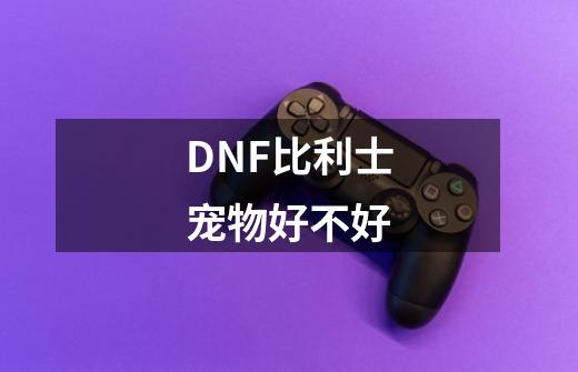 DNF比利士宠物好不好-第1张-游戏信息-龙启网