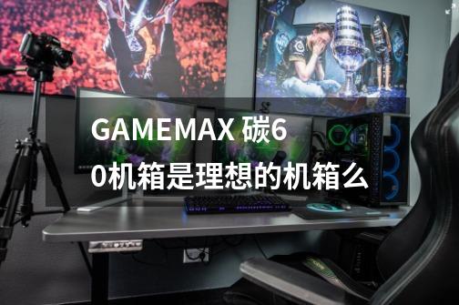 GAMEMAX 碳60机箱是理想的机箱么-第1张-游戏信息-龙启网