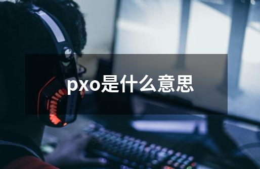 pxo是什么意思-第1张-游戏信息-龙启网