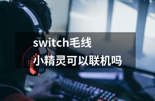 switch毛线小精灵可以联机吗-第1张-游戏信息-龙启网