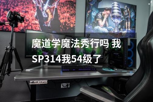 魔道学魔法秀行吗 我SP314我54级了-第1张-游戏信息-龙启网