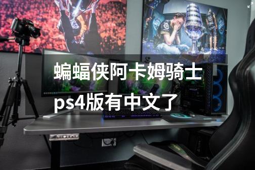 蝙蝠侠阿卡姆骑士ps4版有中文了-第1张-游戏信息-龙启网