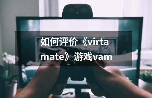 如何评价《virtamate》游戏vam-第1张-游戏信息-龙启网