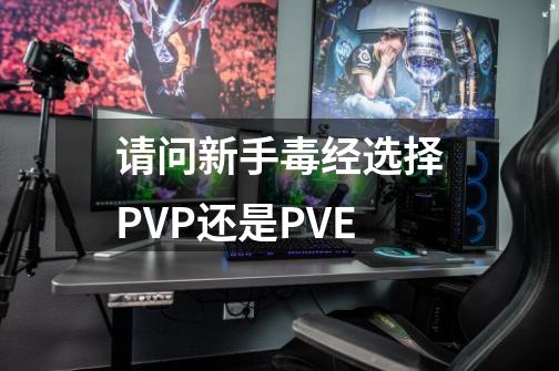 请问新手毒经选择PVP还是PVE-第1张-游戏信息-龙启网