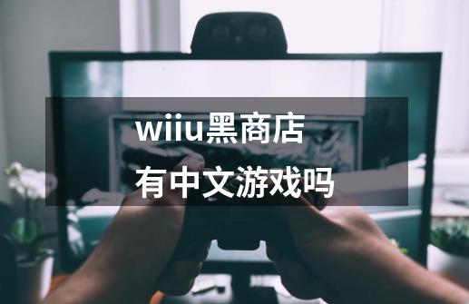 wiiu黑商店有中文游戏吗-第1张-游戏信息-龙启网