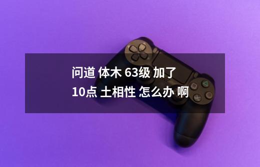 问道 体木 63级 加了 10点 土相性 怎么办 啊-第1张-游戏信息-龙启网