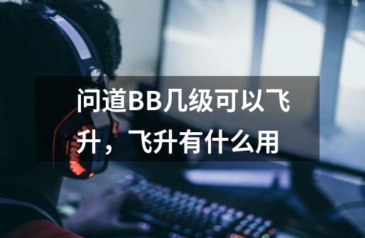 问道BB几级可以飞升，飞升有什么用-第1张-游戏信息-龙启网