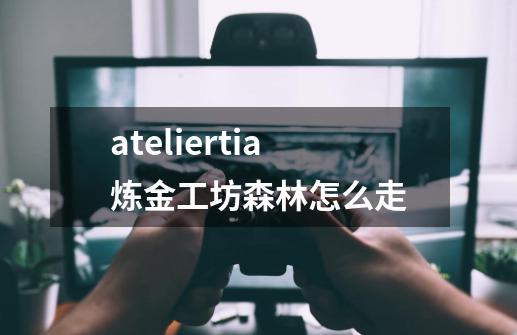 ateliertia炼金工坊森林怎么走-第1张-游戏信息-龙启网