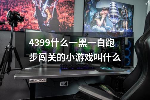 4399什么一黑一白跑步闯关的小游戏叫什么-第1张-游戏信息-龙启网