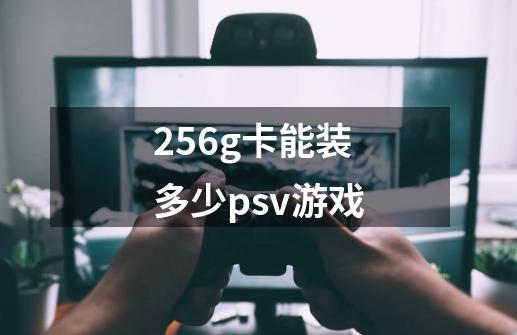 256g卡能装多少psv游戏-第1张-游戏信息-龙启网